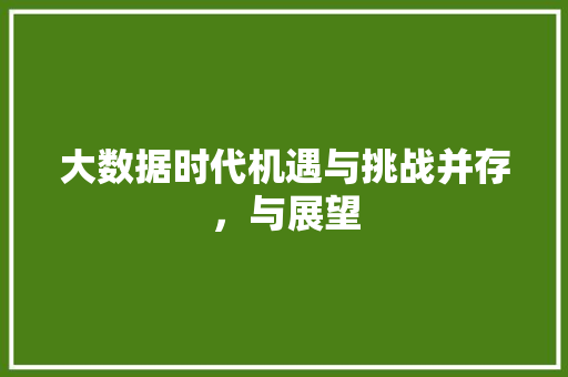 大数据时代机遇与挑战并存，与展望