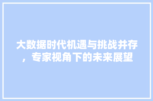 大数据时代机遇与挑战并存，专家视角下的未来展望