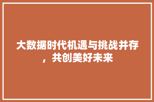 大数据时代机遇与挑战并存，共创美好未来