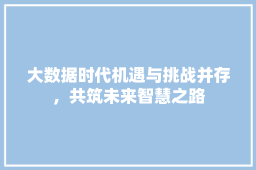 大数据时代机遇与挑战并存，共筑未来智慧之路