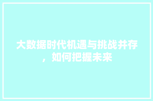 大数据时代机遇与挑战并存，如何把握未来