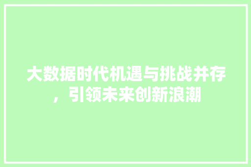 大数据时代机遇与挑战并存，引领未来创新浪潮