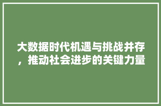 大数据时代机遇与挑战并存，推动社会进步的关键力量
