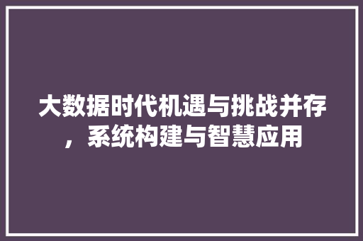 大数据时代机遇与挑战并存,系统构建与智慧应用 大数据时代机遇与挑战并存,系统构建与智慧应用