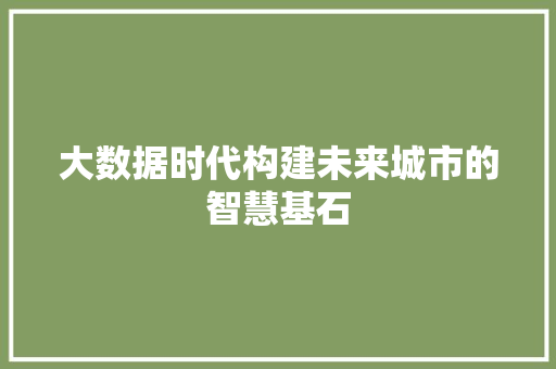 大数据时代构建未来城市的智慧基石