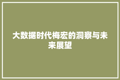 大数据时代梅宏的洞察与未来展望