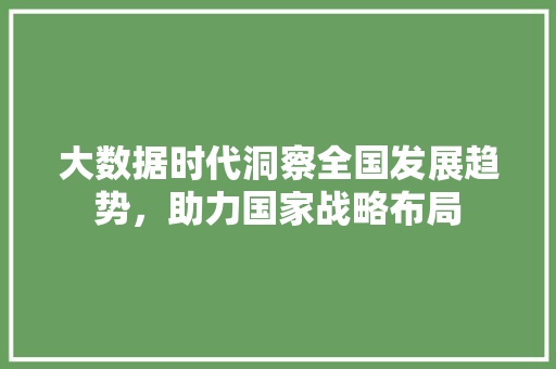 大数据时代洞察全国发展趋势，助力国家战略布局