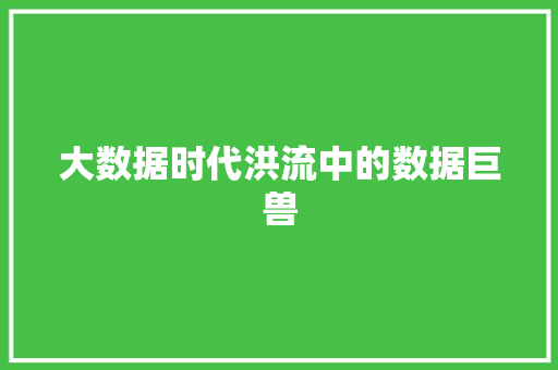 大数据时代洪流中的数据巨兽