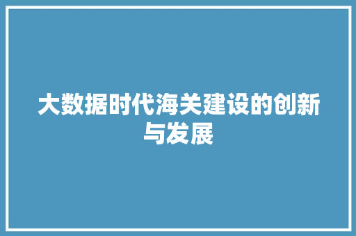 大数据时代海关建设的创新与发展