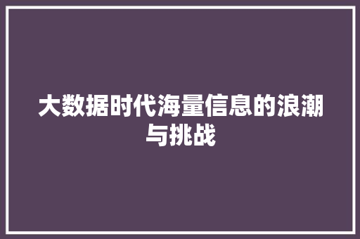 大数据时代海量信息的浪潮与挑战