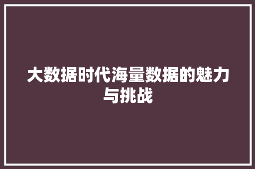 大数据时代海量数据的魅力与挑战