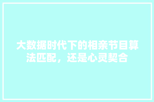 大数据时代下的相亲节目算法匹配，还是心灵契合