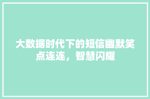 大数据时代下的短信幽默笑点连连，智慧闪耀