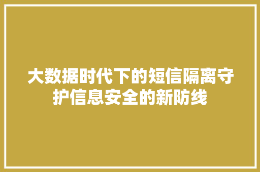 大数据时代下的短信隔离守护信息安全的新防线