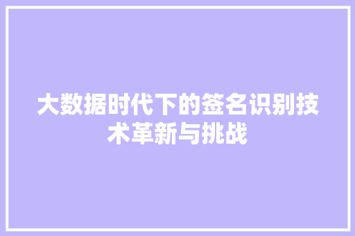 大数据时代下的签名识别技术革新与挑战