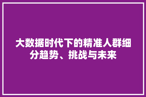 大数据时代下的精准人群细分趋势、挑战与未来