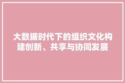 大数据时代下的组织文化构建创新、共享与协同发展
