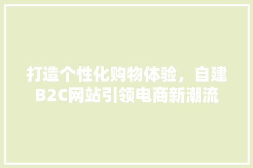 打造个性化购物体验，自建B2C网站引领电商新潮流