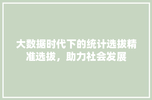 大数据时代下的统计选拔精准选拔，助力社会发展
