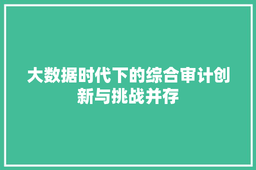 大数据时代下的综合审计创新与挑战并存