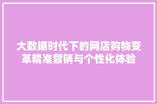 大数据时代下的网店购物变革精准营销与个性化体验