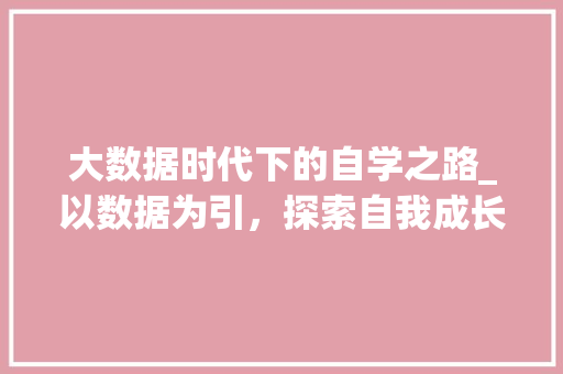 大数据时代下的自学之路_以数据为引，探索自我成长新篇章 WordPress教程