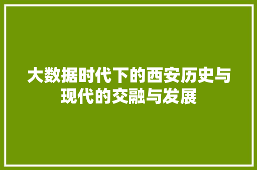 大数据时代下的西安历史与现代的交融与发展