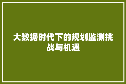 大数据时代下的规划监测挑战与机遇