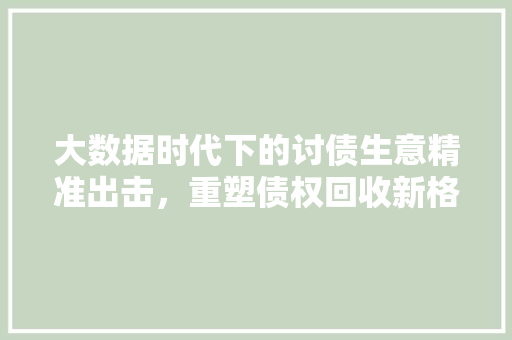 大数据时代下的讨债生意精准出击，重塑债权回收新格局 SEO教程