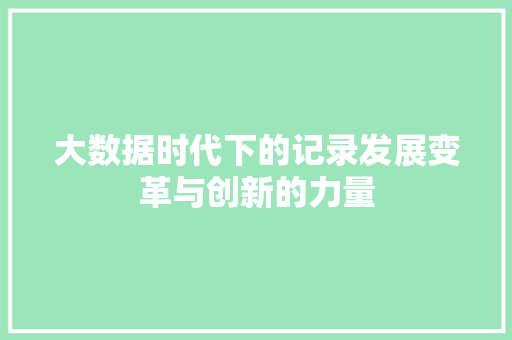 大数据时代下的记录发展变革与创新的力量 SEO教程