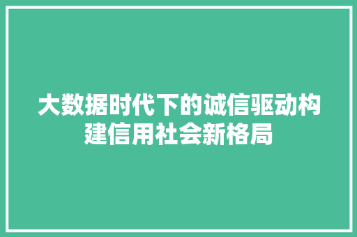 大数据时代下的诚信驱动构建信用社会新格局
