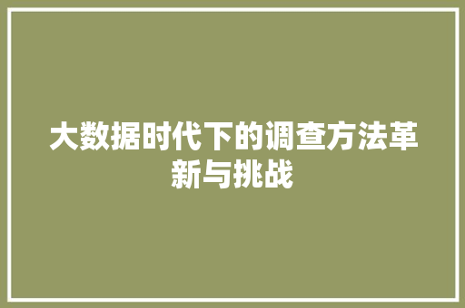 大数据时代下的调查方法革新与挑战 SEO教程