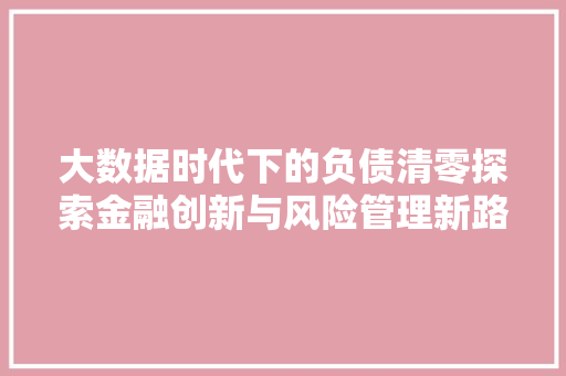 大数据时代下的负债清零探索金融创新与风险管理新路径