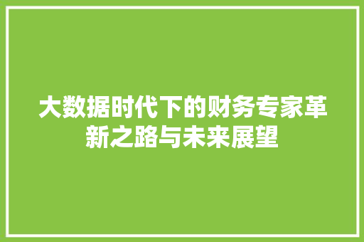 大数据时代下的财务专家革新之路与未来展望 Web前端