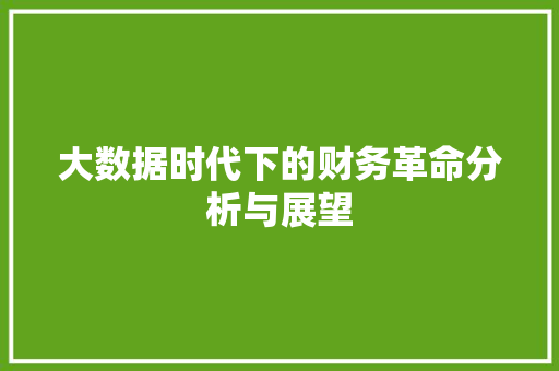 大数据时代下的财务革命分析与展望