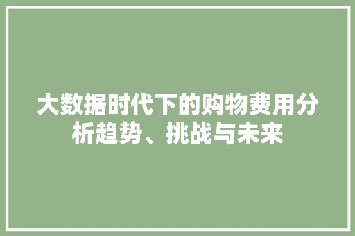 大数据时代下的购物费用分析趋势、挑战与未来