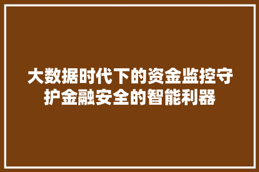 大数据时代下的资金监控守护金融安全的智能利器