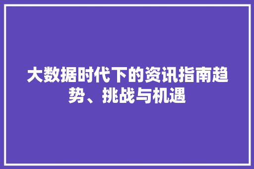 大数据时代下的资讯指南趋势、挑战与机遇