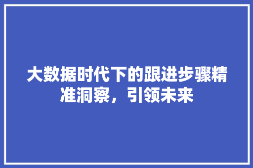 大数据时代下的跟进步骤精准洞察，引领未来