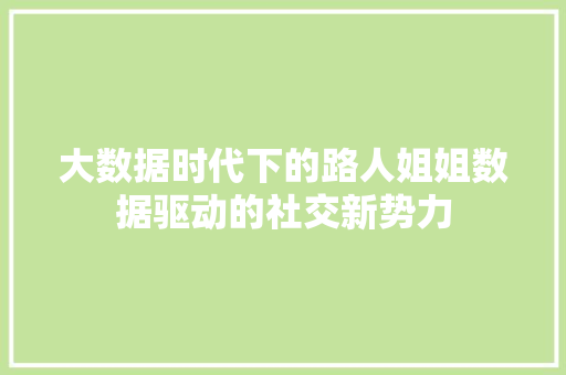 大数据时代下的路人姐姐数据驱动的社交新势力