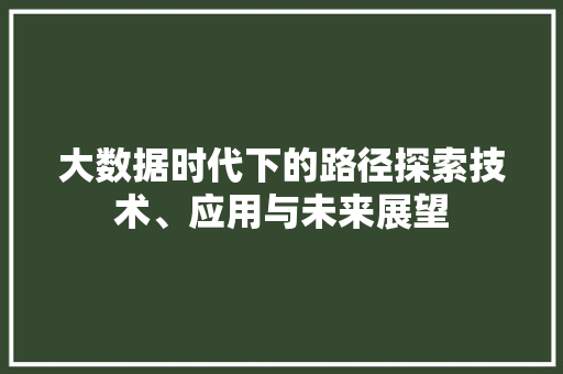 大数据时代下的路径探索技术、应用与未来展望