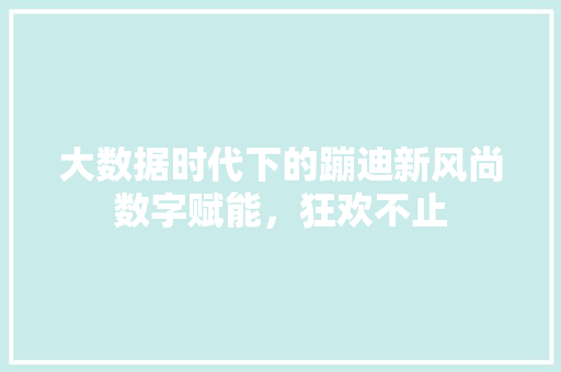 大数据时代下的蹦迪新风尚数字赋能，狂欢不止