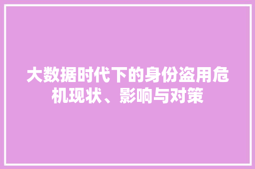 大数据时代下的身份盗用危机现状、影响与对策