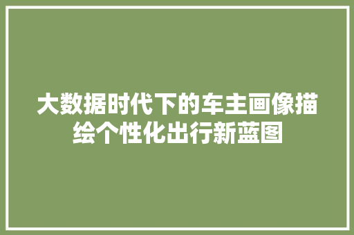 大数据时代下的车主画像描绘个性化出行新蓝图