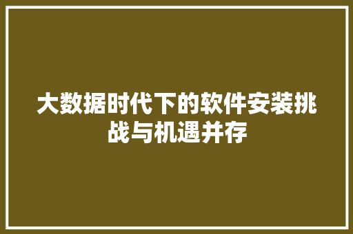 大数据时代下的软件安装挑战与机遇并存 Web前端