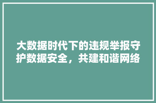 大数据时代下的违规举报守护数据安全，共建和谐网络