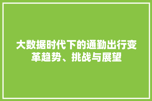 大数据时代下的通勤出行变革趋势、挑战与展望