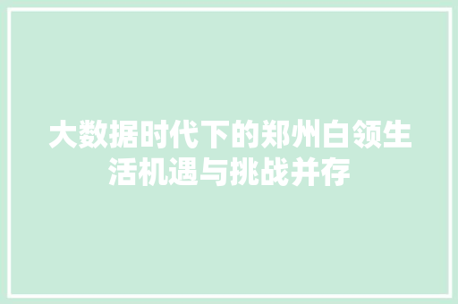 大数据时代下的郑州白领生活机遇与挑战并存