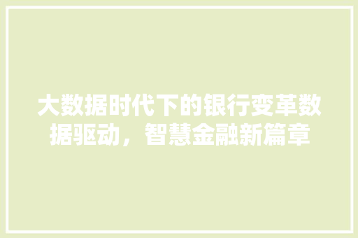 大数据时代下的银行变革数据驱动，智慧金融新篇章