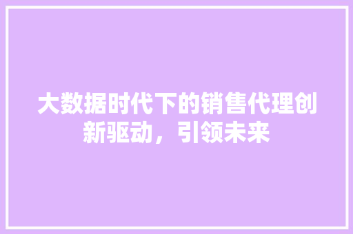 大数据时代下的销售代理创新驱动，引领未来